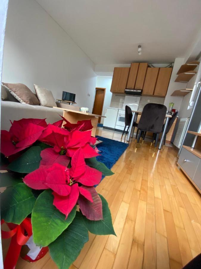 Tea Apartment Skopje Ngoại thất bức ảnh